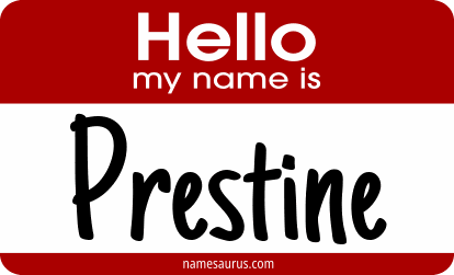 Hello my name is Prestine png download