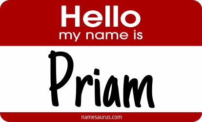 Hello my name is Priam png download
