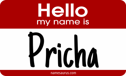 Hello my name is Pricha png download