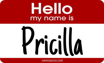 Hello my name is Pricilla png download