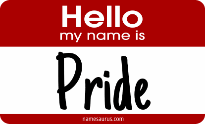 Hello my name is Pride png download