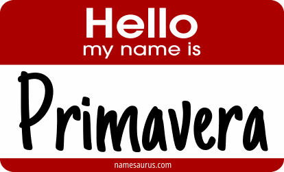 Hello my name is Primavera png download