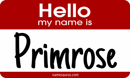 Hello my name is Primrose png download