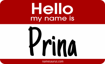 Hello my name is Prina png download