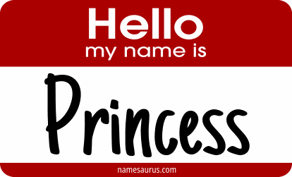 Hello my name is Princess png download