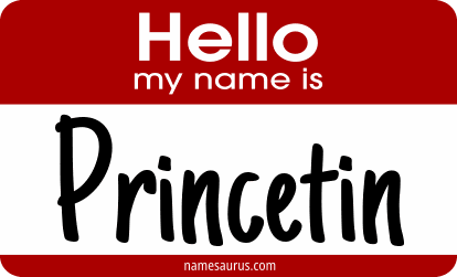 Hello my name is Princetin png download