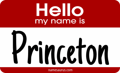Hello my name is Princeton png download