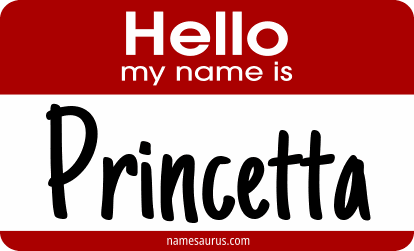 Hello my name is Princetta png download