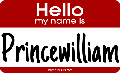 Hello my name is Princewilliam png download