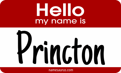 Hello my name is Princton png download