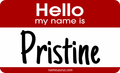 Hello my name is Pristine png download