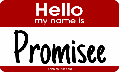 Hello my name is Promisee png download