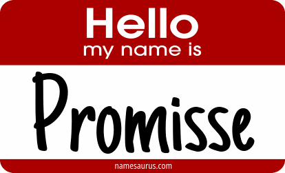Hello my name is Promisse png download