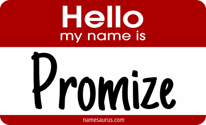 Hello my name is Promize png download