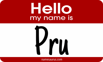Hello my name is Pru png download