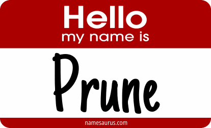 Hello my name is Prune png download