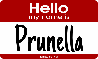 Hello my name is Prunella png download