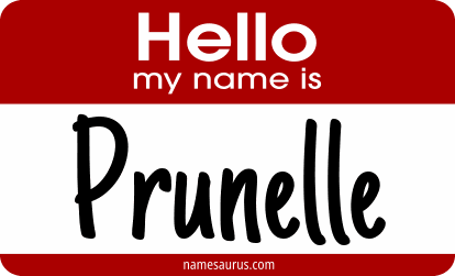 Hello my name is Prunelle png download