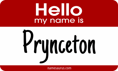 Hello my name is Prynceton png download
