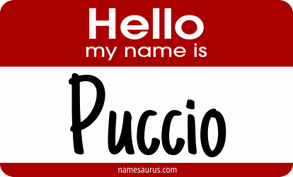 Hello my name is Puccio png download