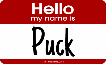 Hello my name is Puck png download