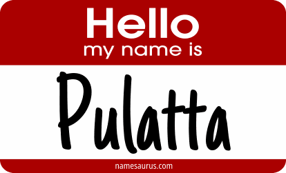 Hello my name is Pulatta png download