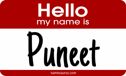 Hello my name is Puneet png download