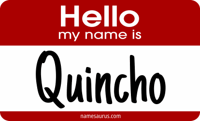Hello my name is Quincho png download