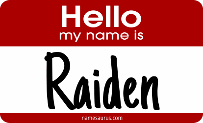 Hello my name is Raiden png download