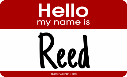 Hello my name is Reed png download