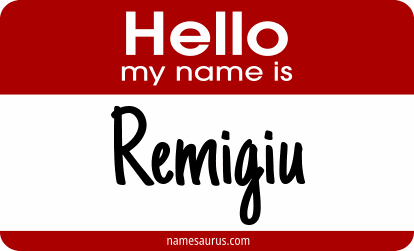 Hello my name is Remigiu png download