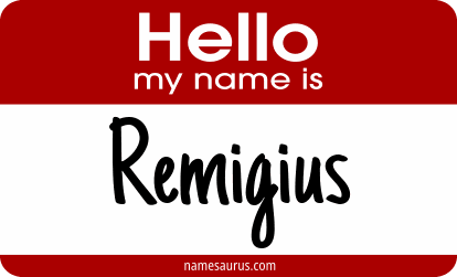 Hello my name is Remigius png download