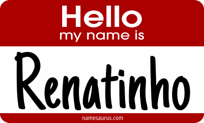 Hello my name is Renatinho png download