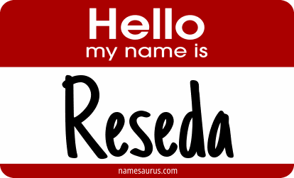 Hello my name is Reseda png download