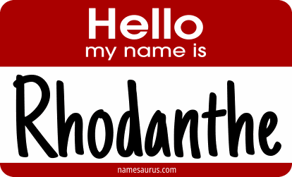Hello my name is Rhodanthe png download
