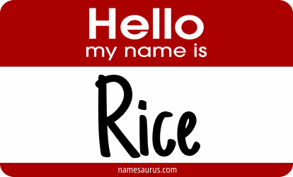 Hello my name is Rice png download