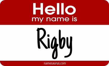 Hello my name is Rigby png download