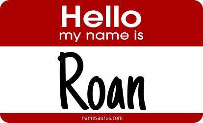 Hello my name is Roan png download