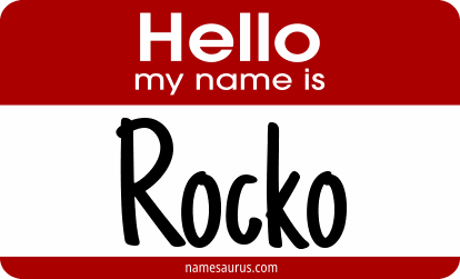 Hello my name is Rocko png download