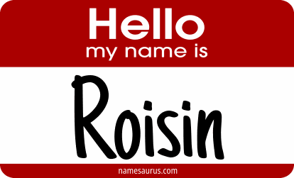 Hello my name is Roisin png download