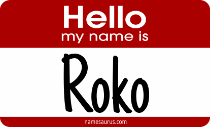 Hello my name is Roko png download