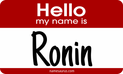 Hello my name is Ronin png download