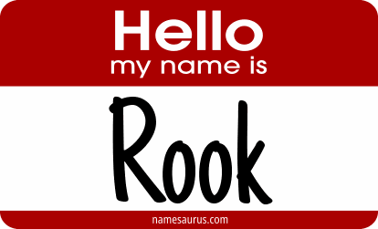 Hello my name is Rook png download