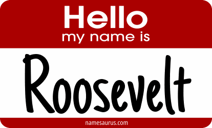 Hello my name is Roosevelt png download