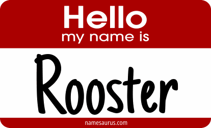 Hello my name is Rooster png download