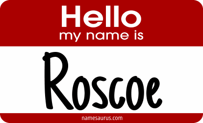 Hello my name is Roscoe png download