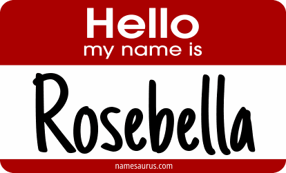 Hello my name is Rosebella png download