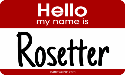 Hello my name is Rosetter png download