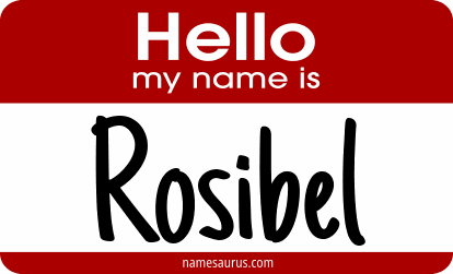 Hello my name is Rosibel png download