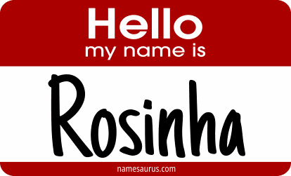 Hello my name is Rosinha png download